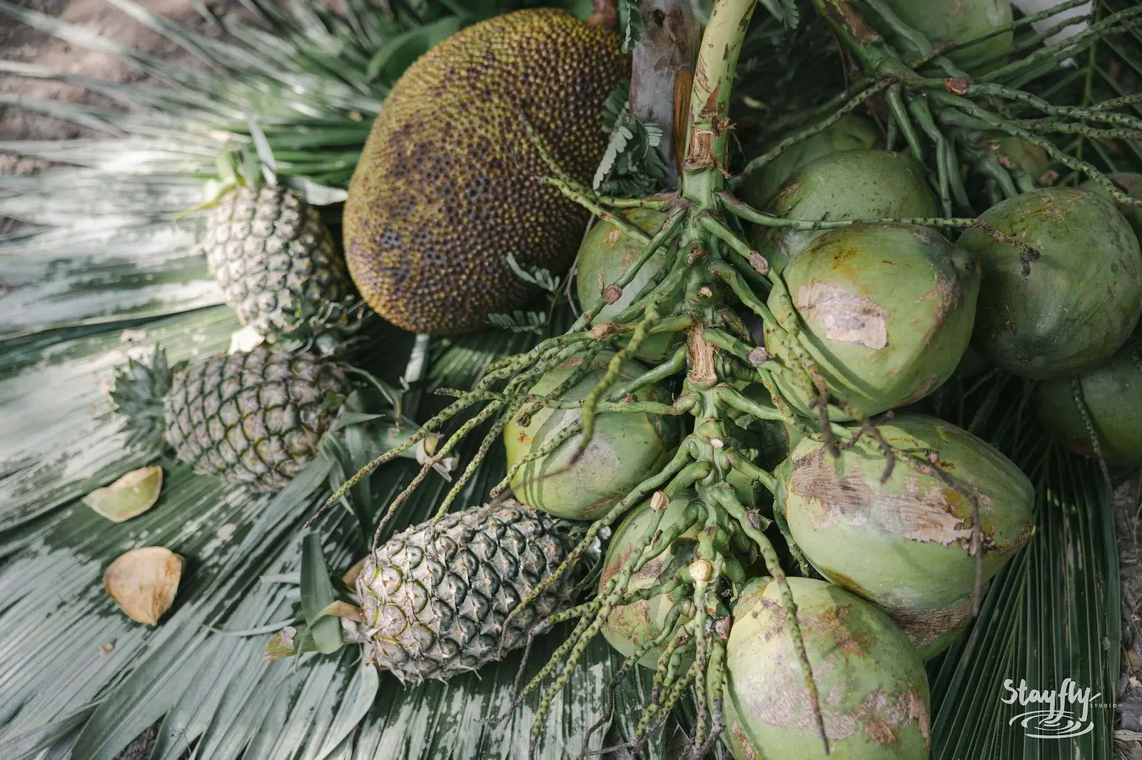 Close-up of pineapples, jackfruit and coconuts.