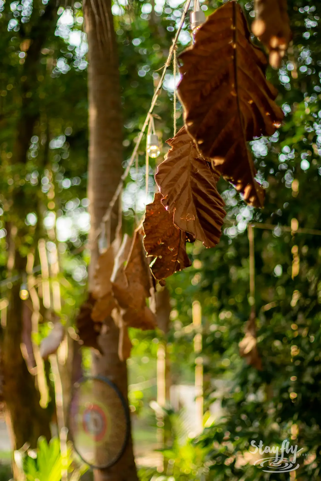 Dried leaf ornament hanging among forest trees.