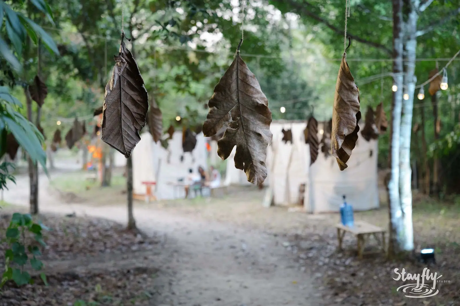 Dried leaves hanging over forest path near tents.