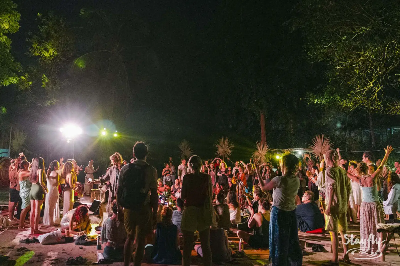 Crowd gathered at night under lights among trees.