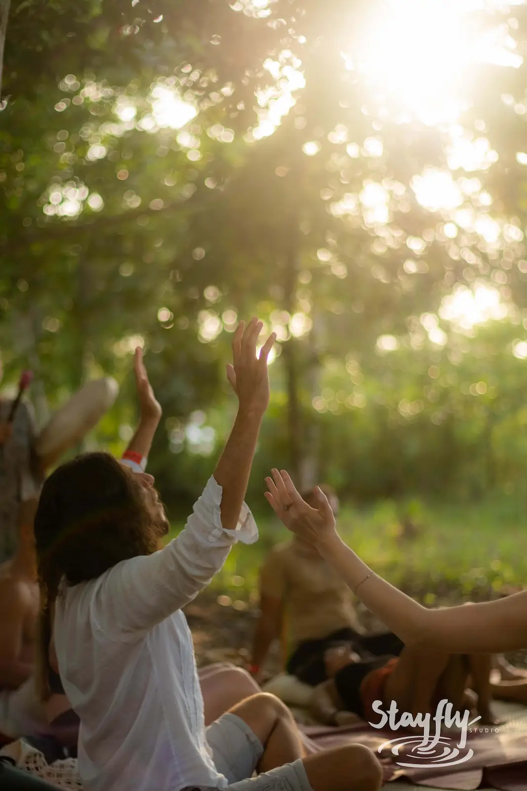 Hands raised toward sunlight through trees.