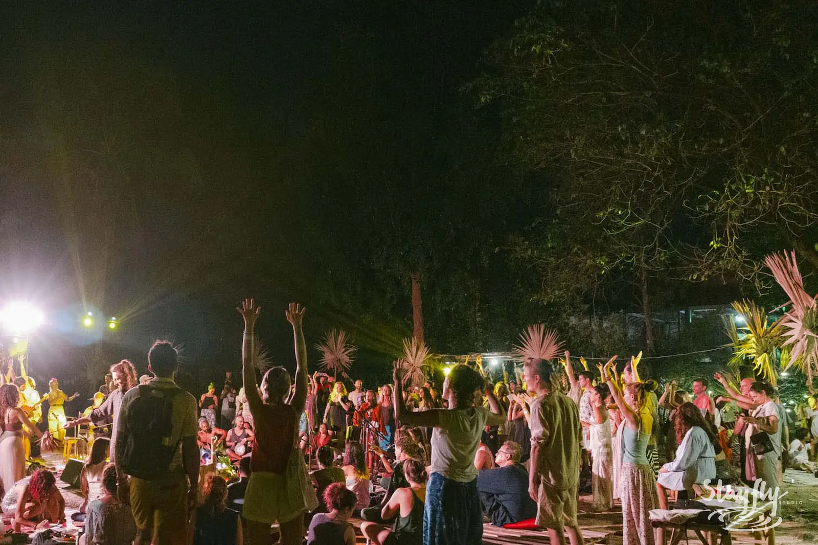 Crowd with arms raised at night gathering.