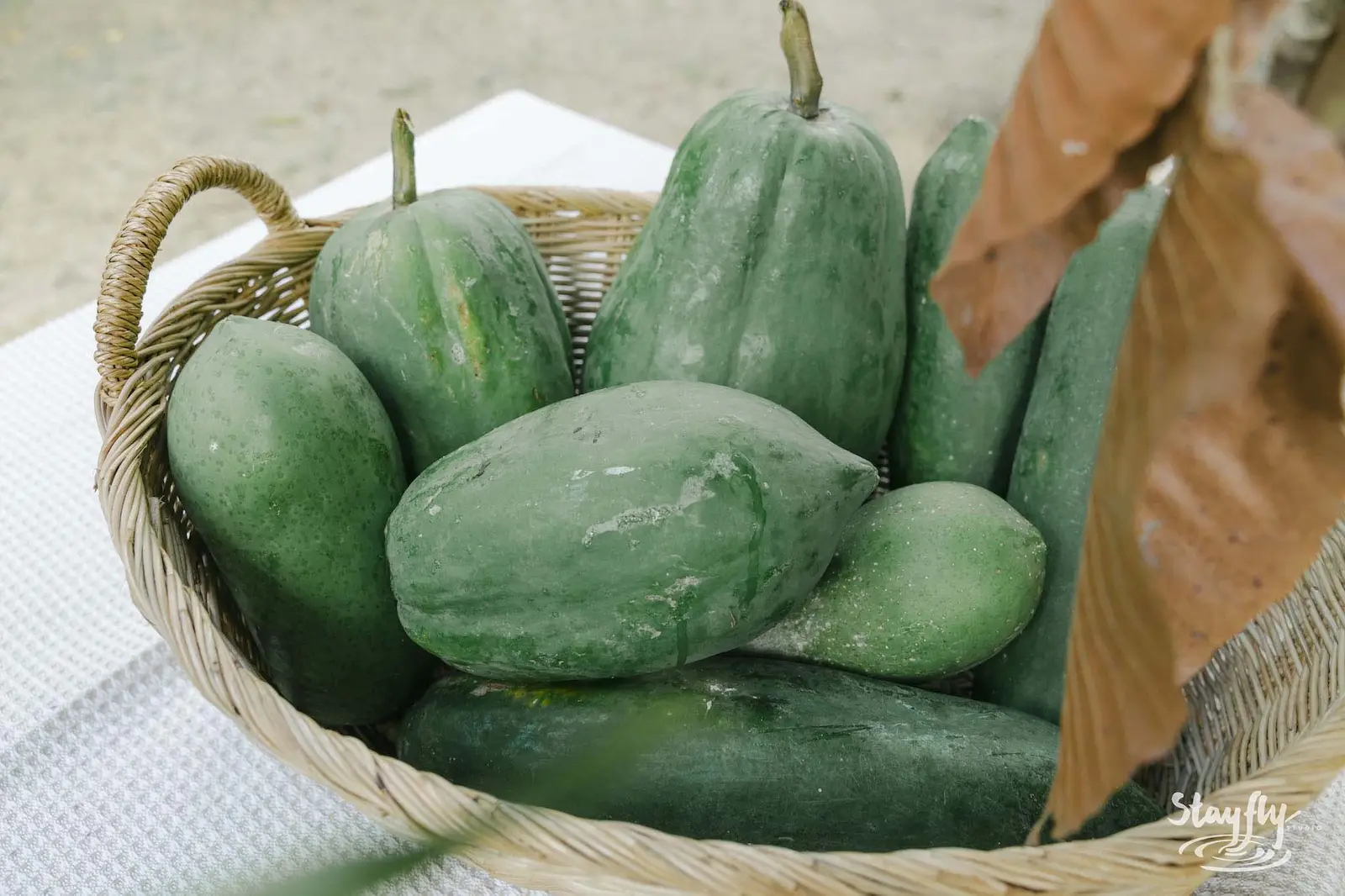 Basket of green papayas.