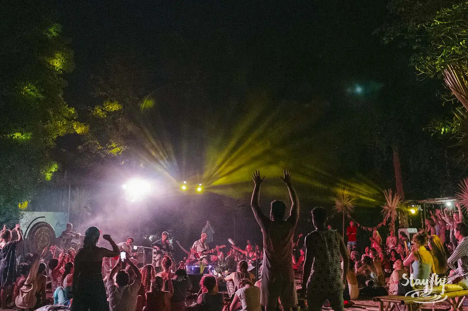 Crowd with raised hands at night stage show.