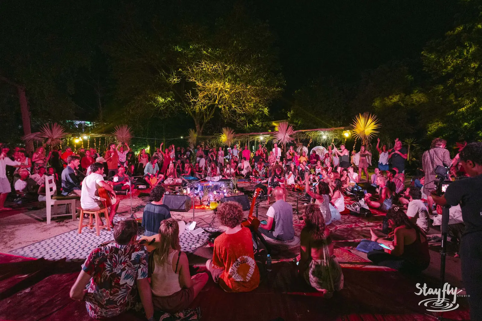 Large crowd gathered at night music performance.