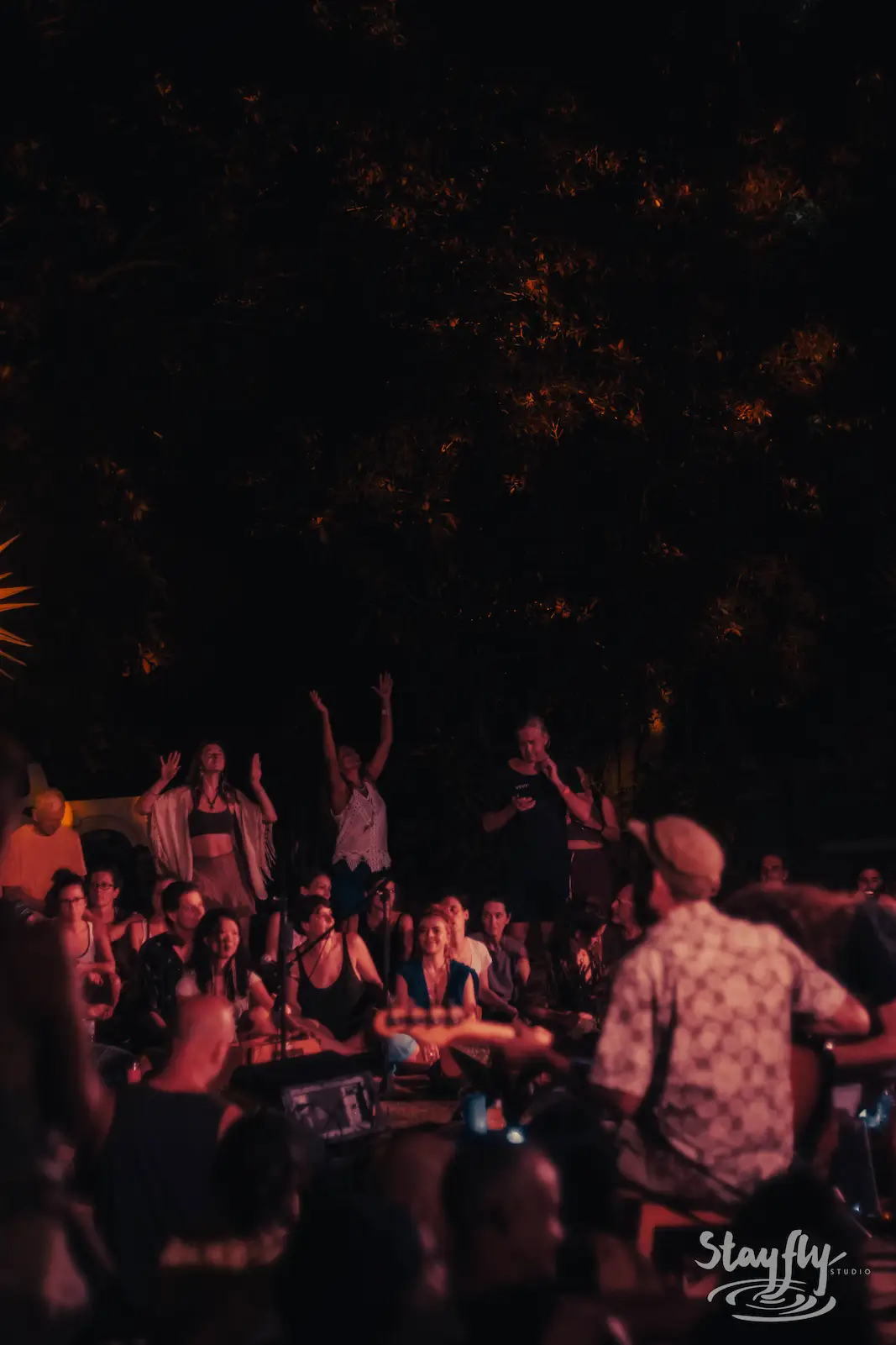 Crowd with raised hands at dark night concert.