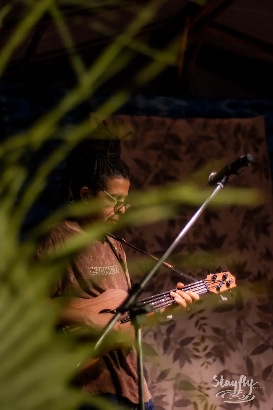 Musician playing violin behind foliage at night.