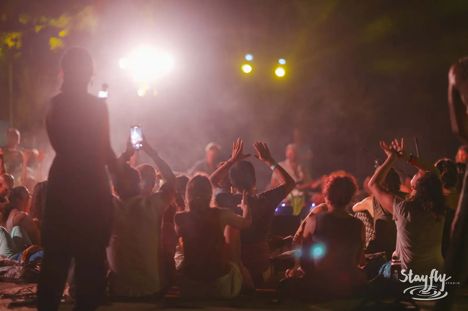 Night concert crowd with hands raised, phone lit.