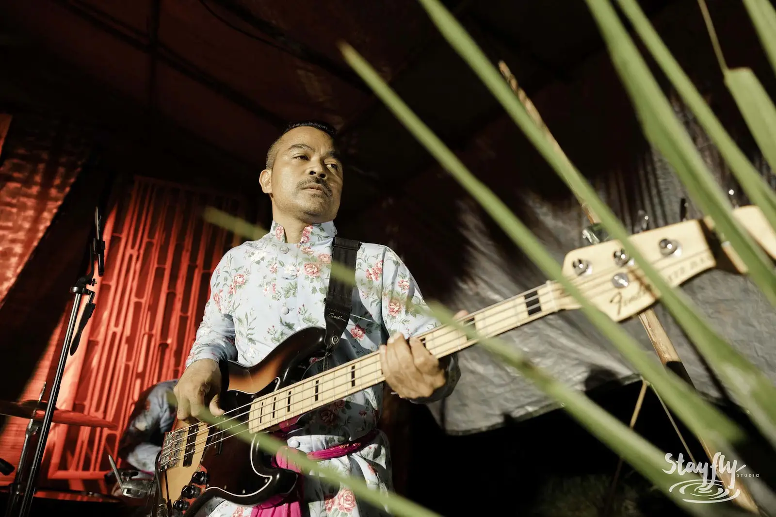 Bass player performing on tented night stage.