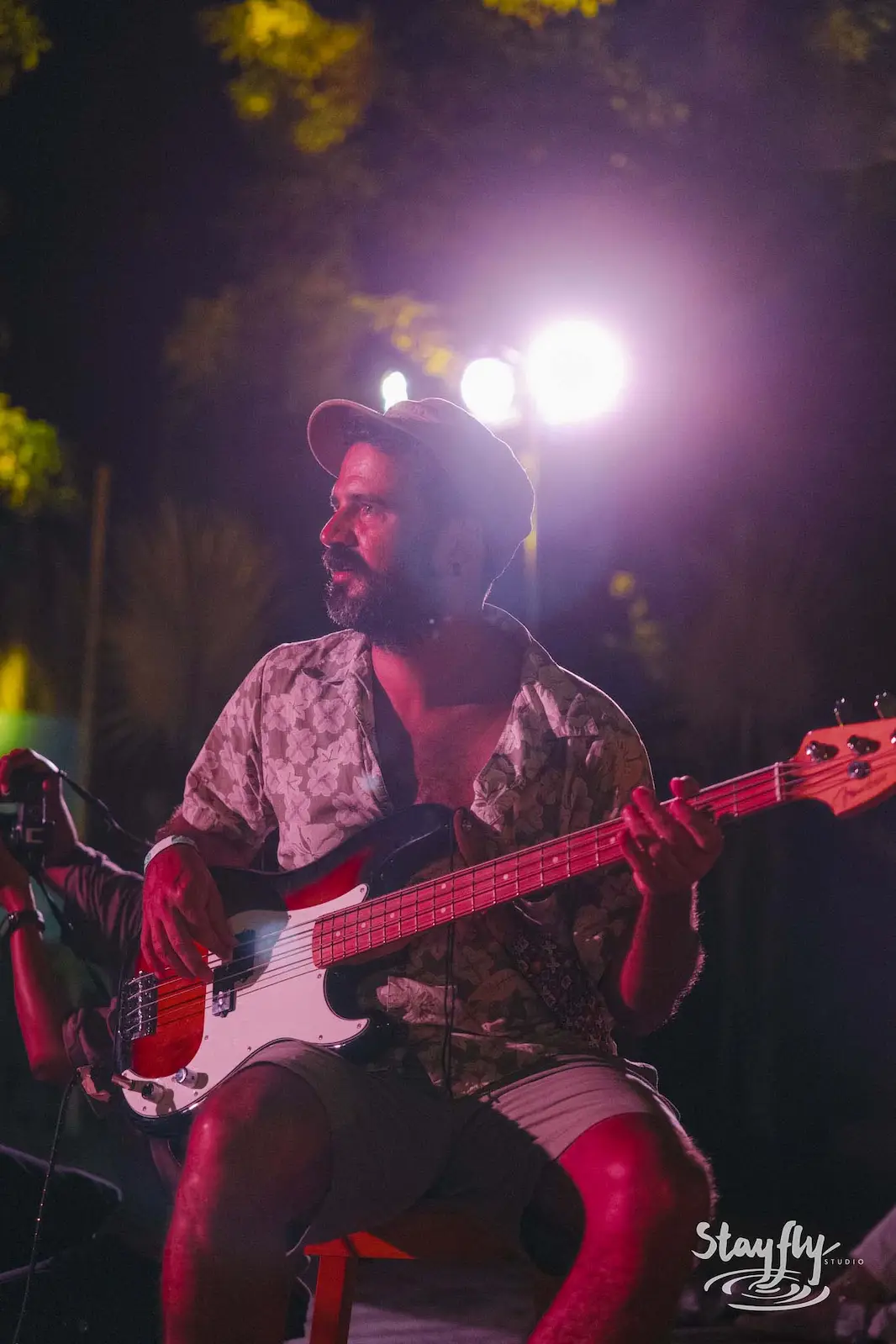 Bassist playing at night stage.