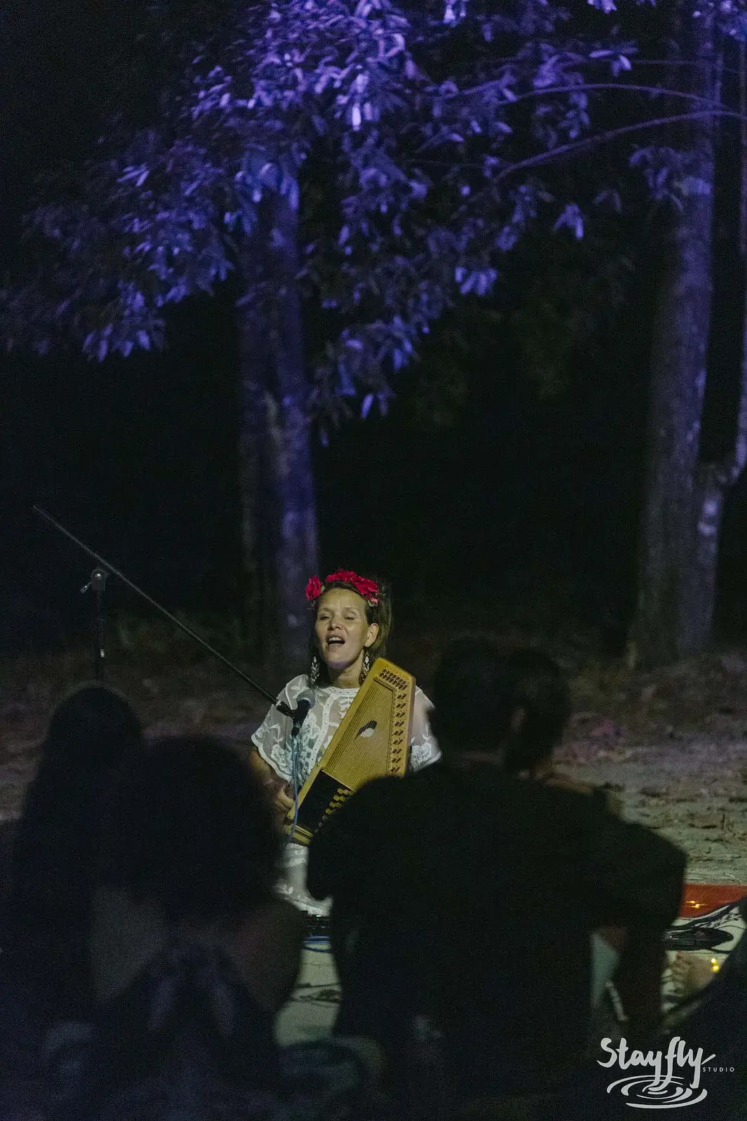Musician playing accordion in forest at night.