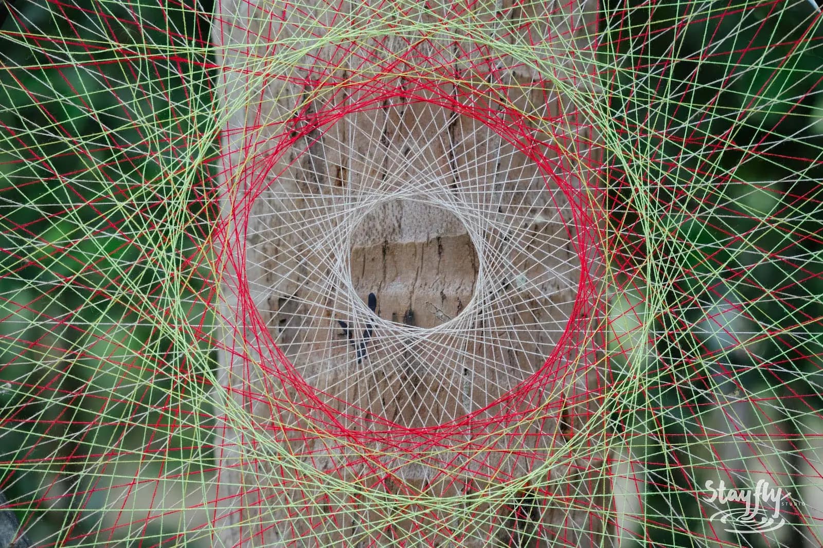 Woven string art circle installation closeup.