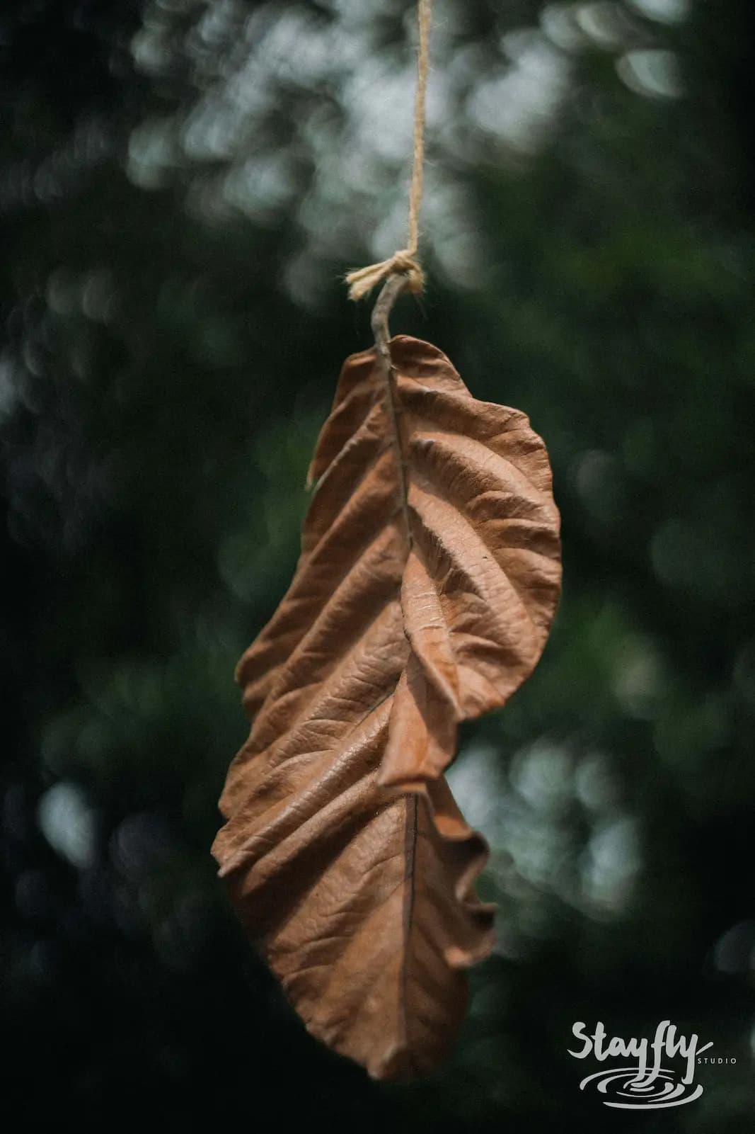 Dried leaf ornament hangs on string in forest.