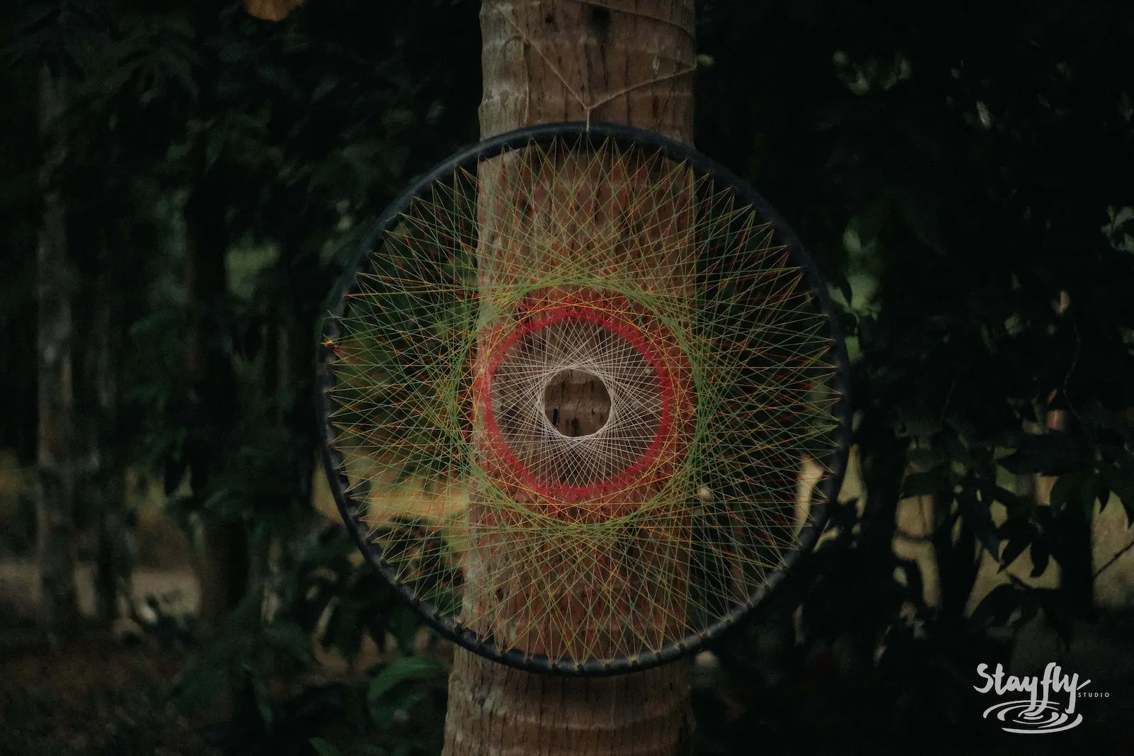 Circular string art dreamcatcher hanging on tree.