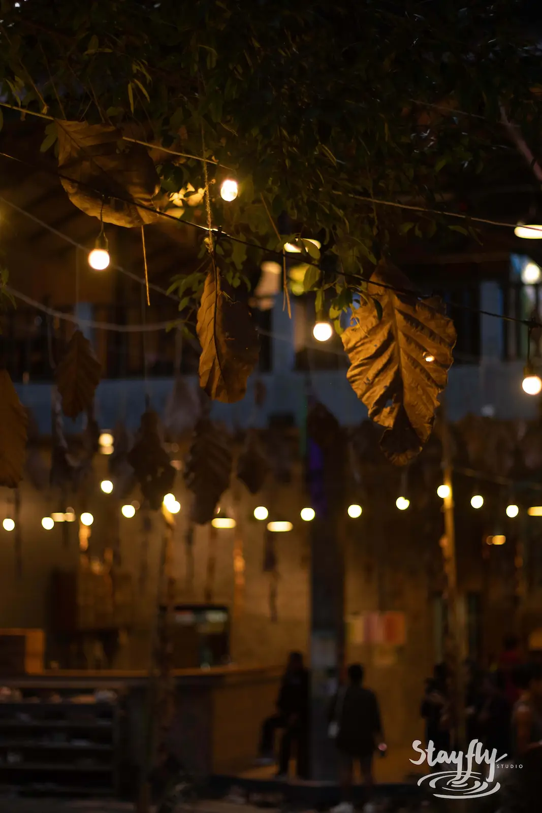 String lights and hanging dried leaves at dusk.