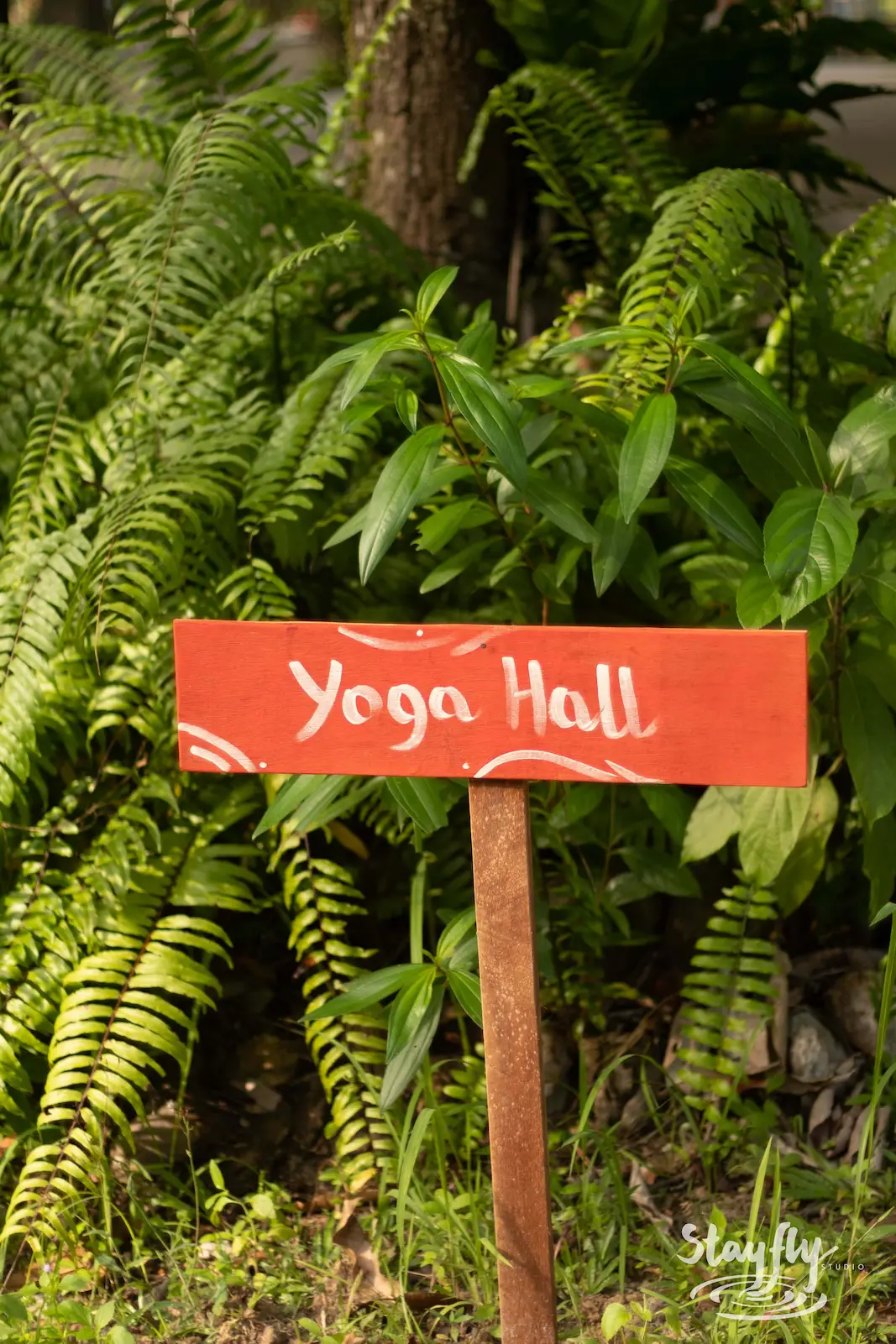 Wooden Yoga Hall sign among ferns.