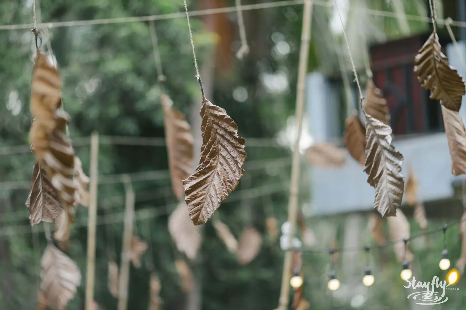 Dried leaf garlands strung between trees at dusk.