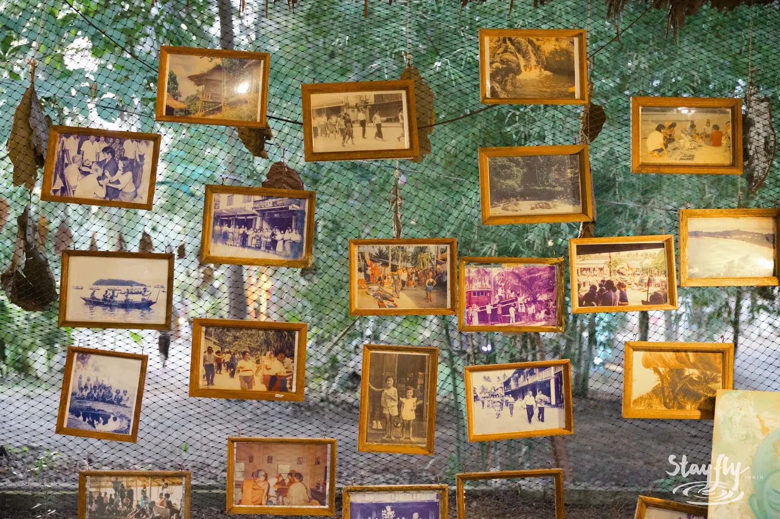 Wall of vintage framed photographs on green netting.