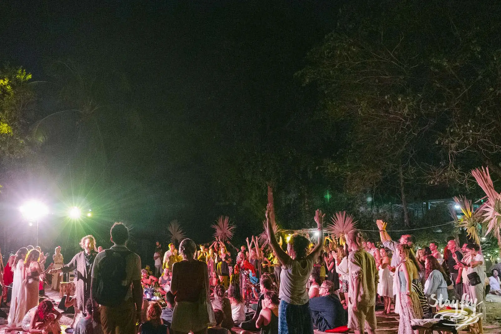 Night crowd raises palm fronds in ceremony.