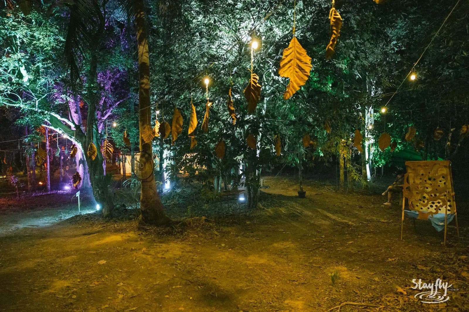 An empty sandy path framed by trees, hanging leaves and strings of warm bulbs.