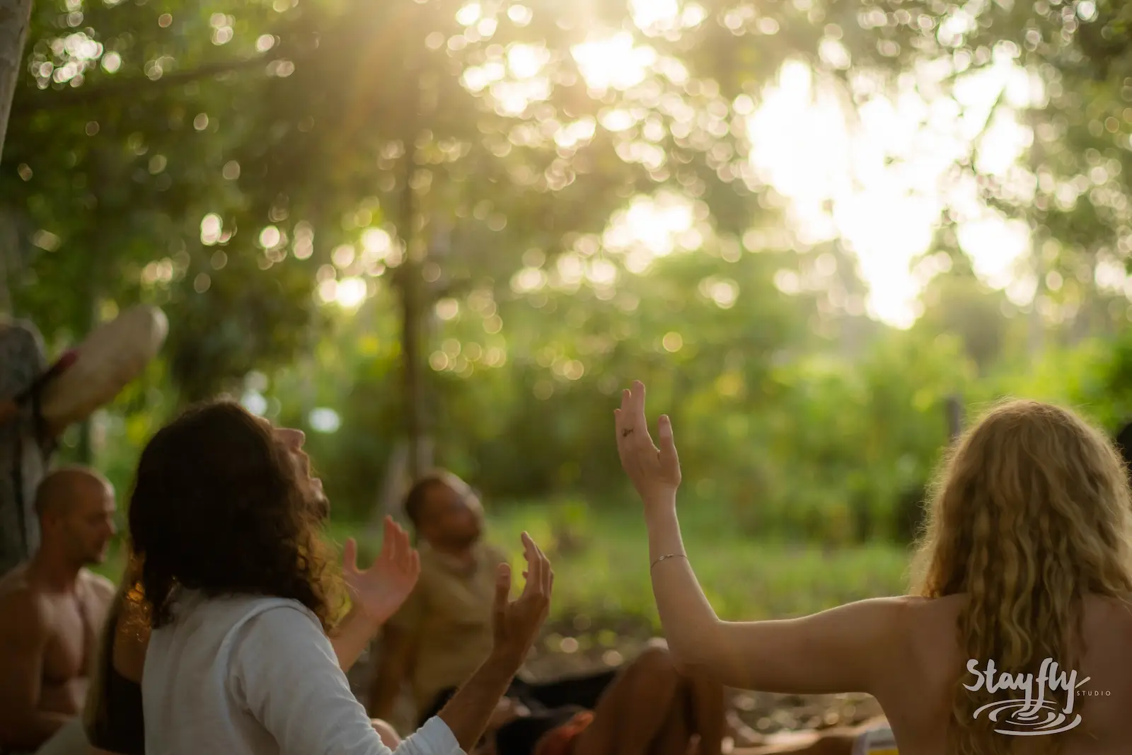 People seen from behind raise their hands beneath sunlit trees.