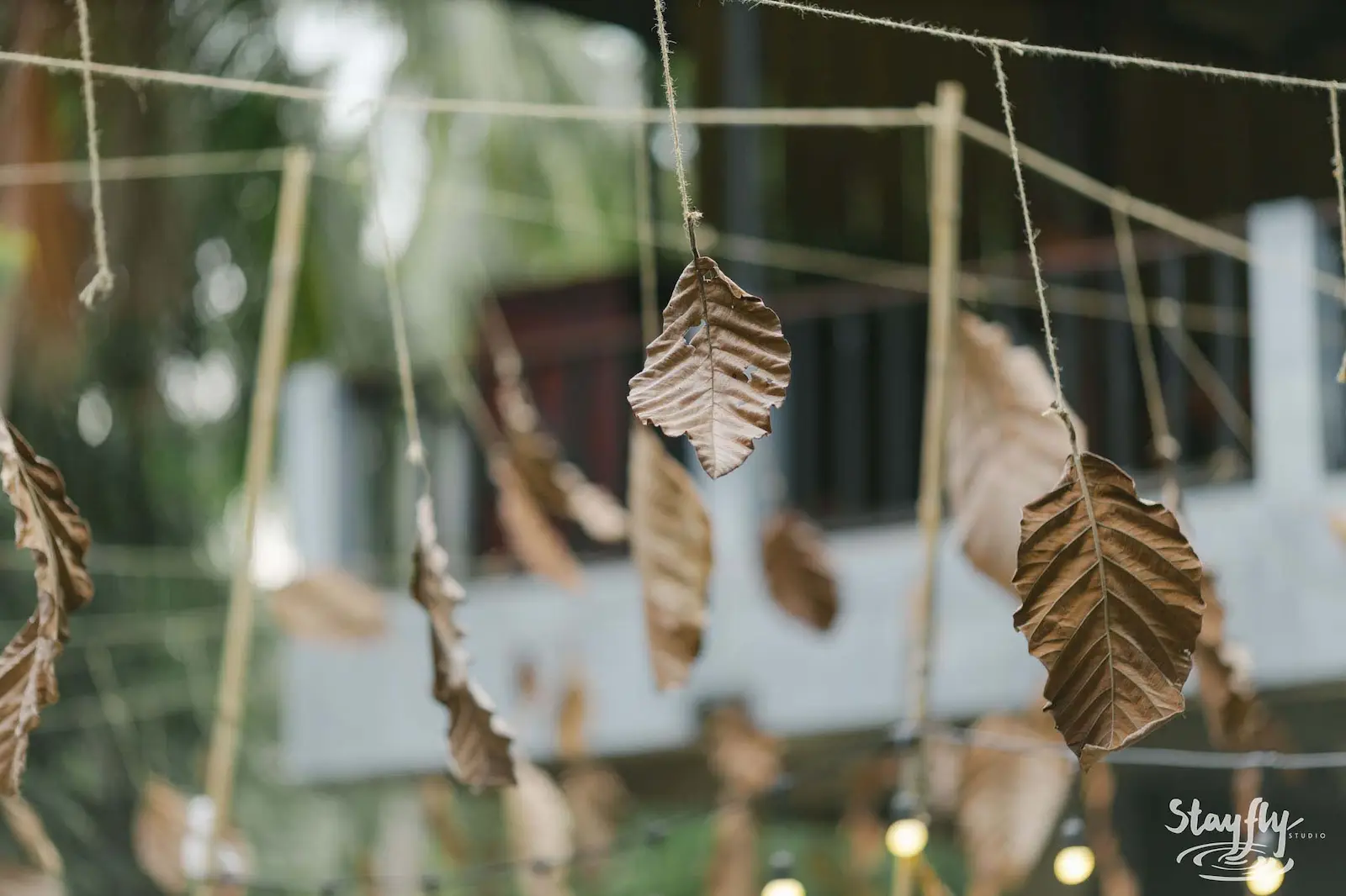 Dried leaves suspended from strings in front of an open-sided building.
