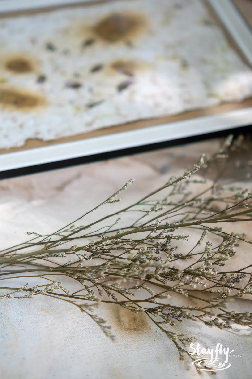 Dried flower sprigs on a table, still life.