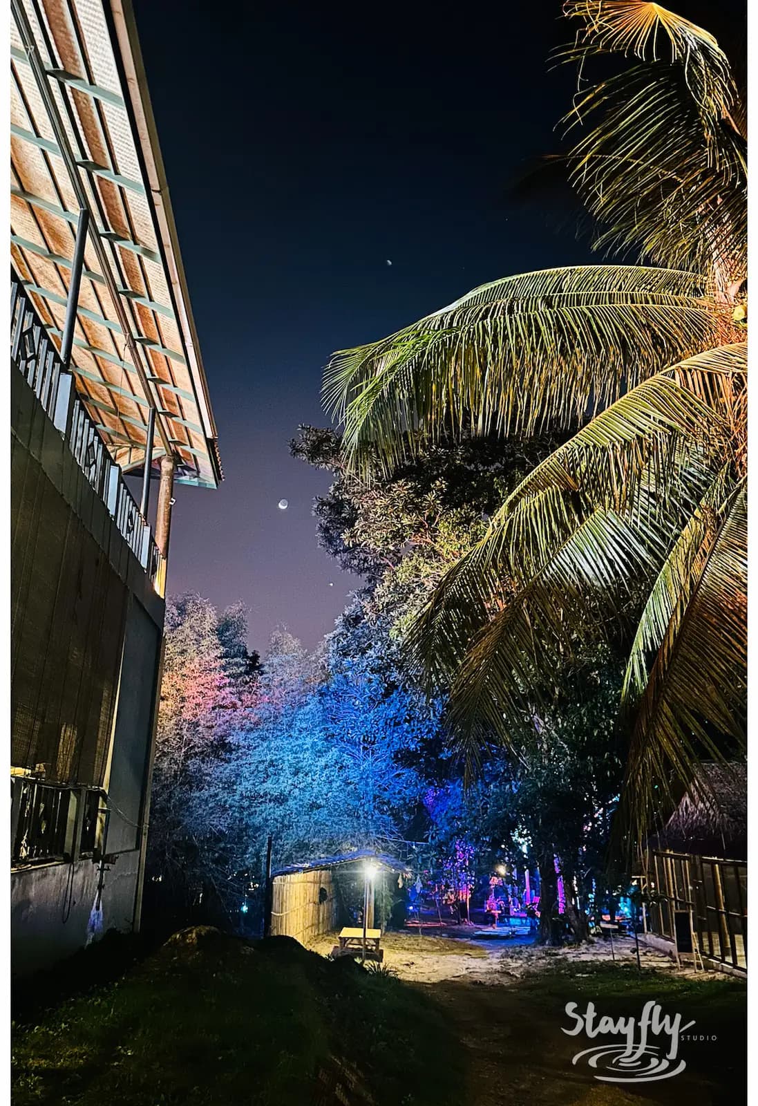 Palm trees and building lit blue at night.