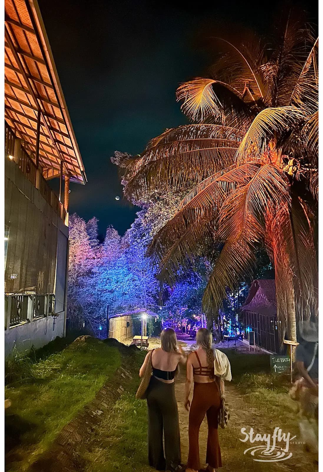 Two women walking toward blue-lit palm trees.
