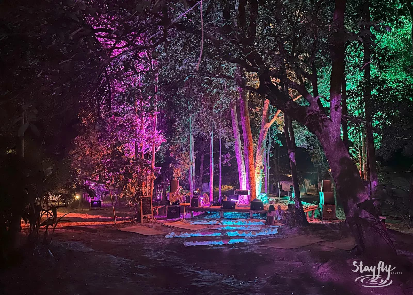 Empty forest lounge area with colored uplighting.