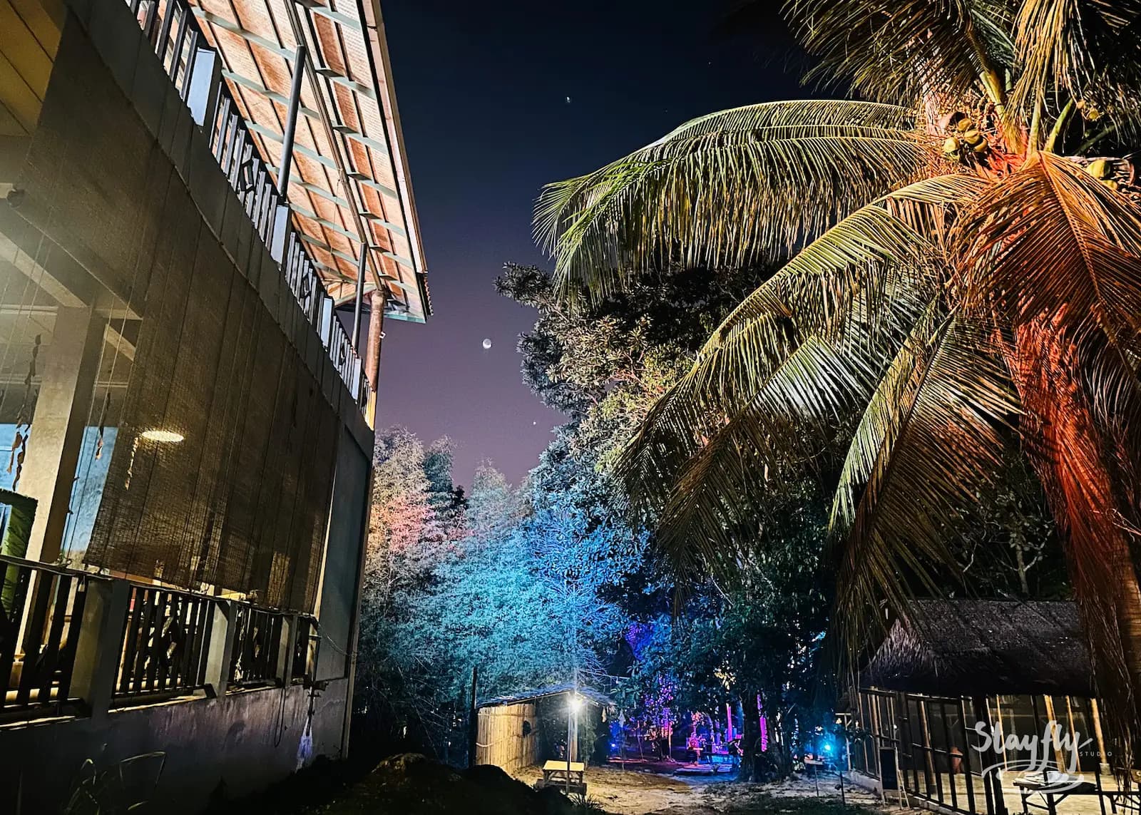 Building corner beside palm tree at night.