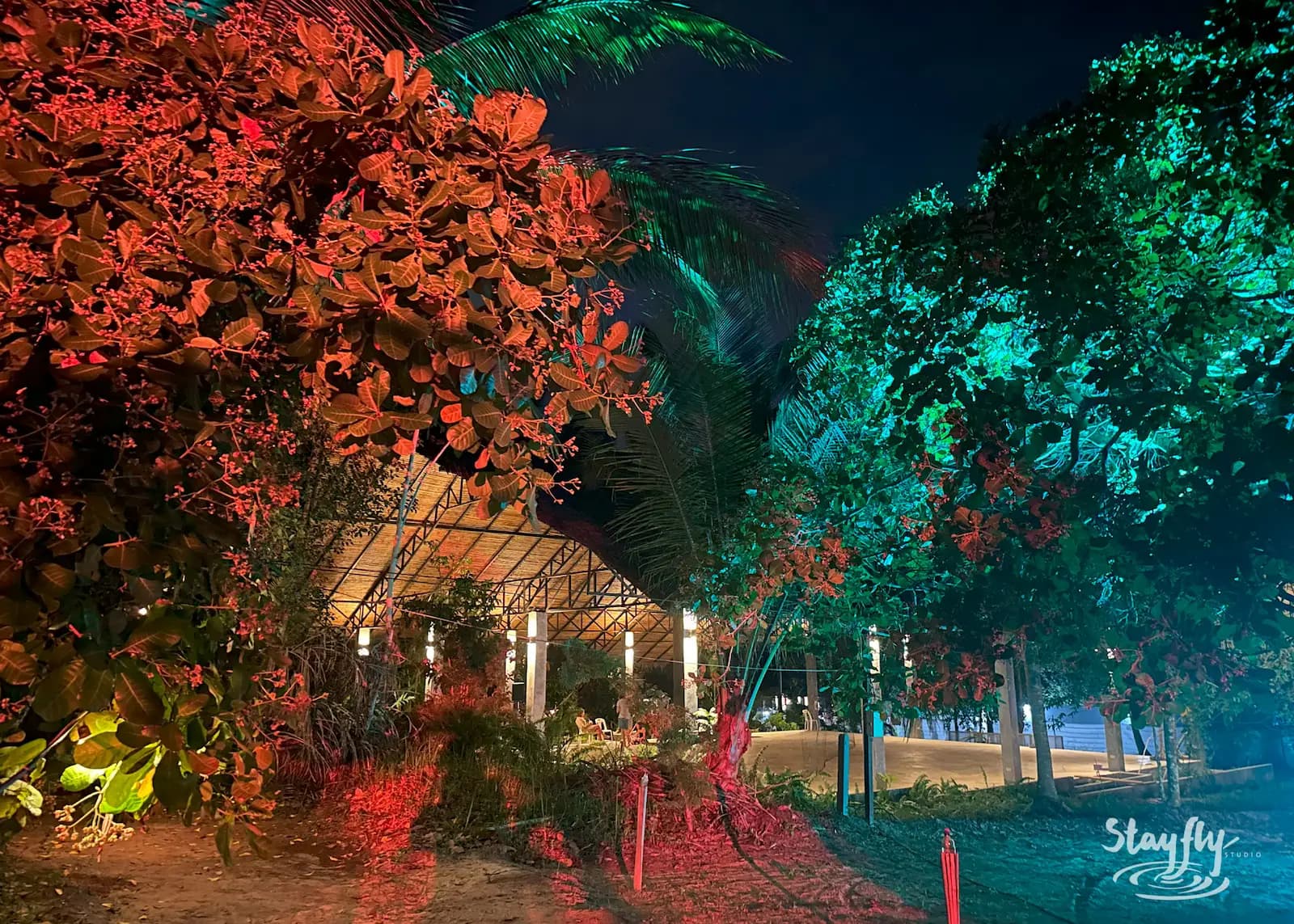 Red and green lit foliage frames venue path.