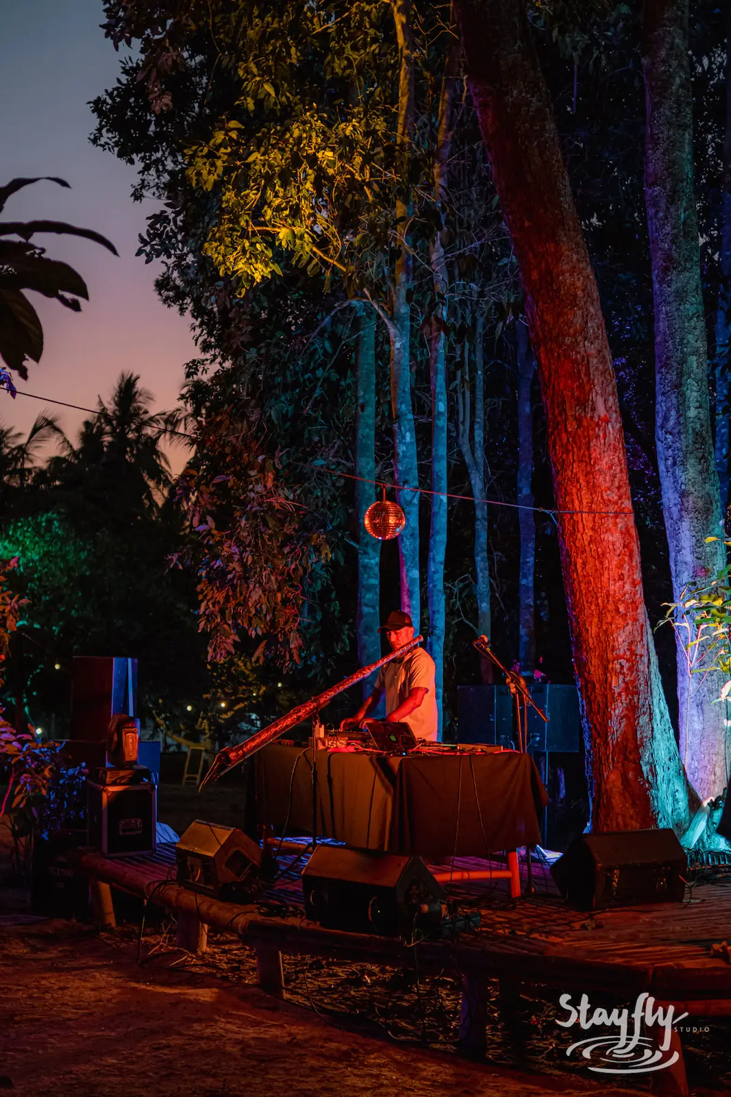 Musician playing under trees with colorful lighting.