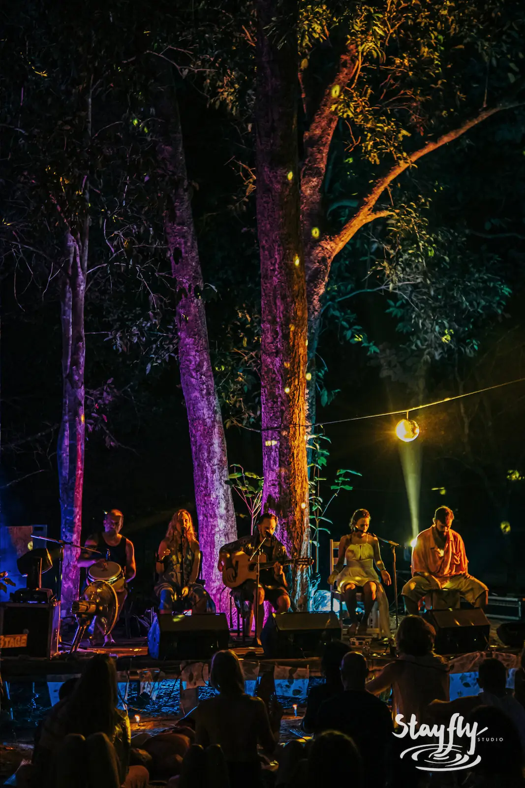 Band performing under trees at night, audience seated.