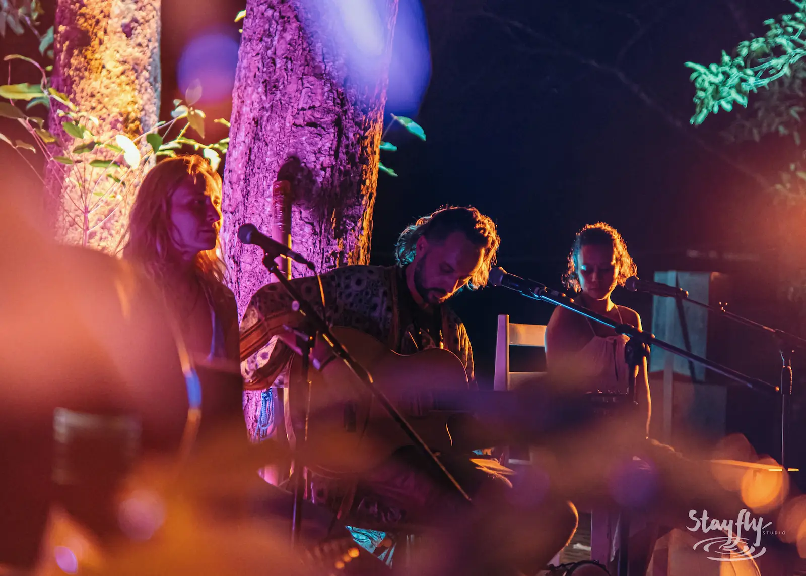 Trio performing under a purple-lit tree.