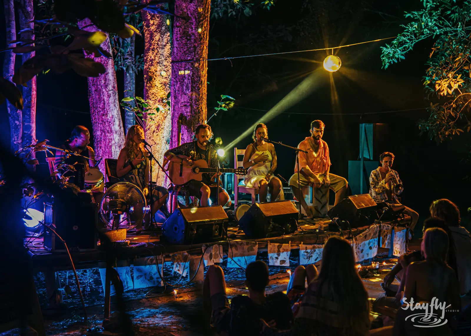 Band performs beneath trees strung with lights.