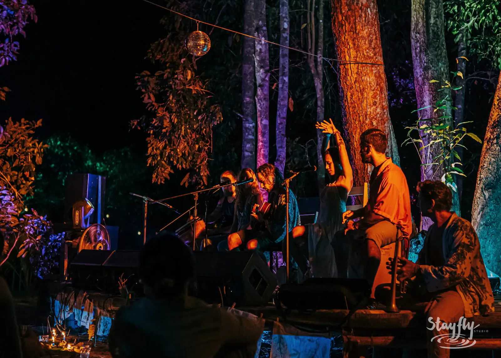 Musicians perform together under forest lighting.