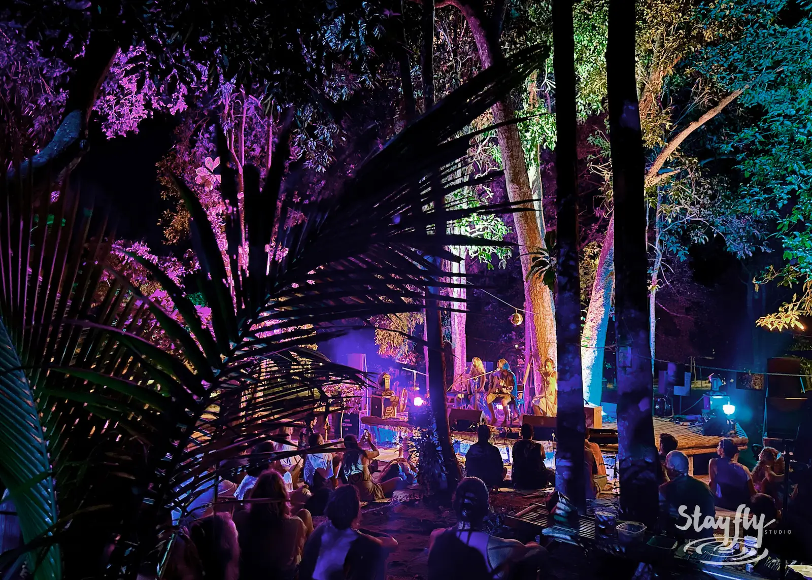 Band performs in purple-lit forest stage.