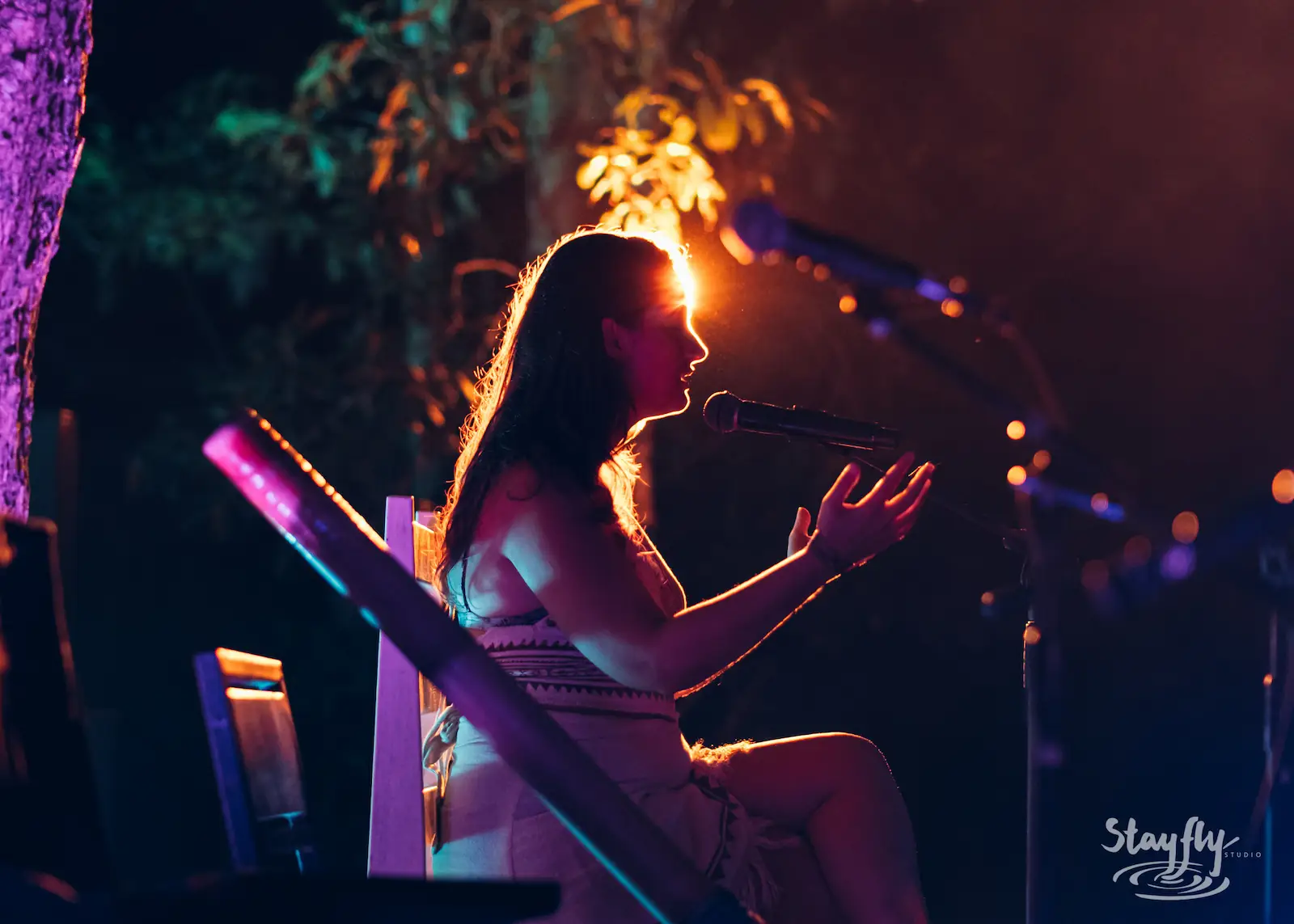 Silhouetted singer performs against warm stage light.