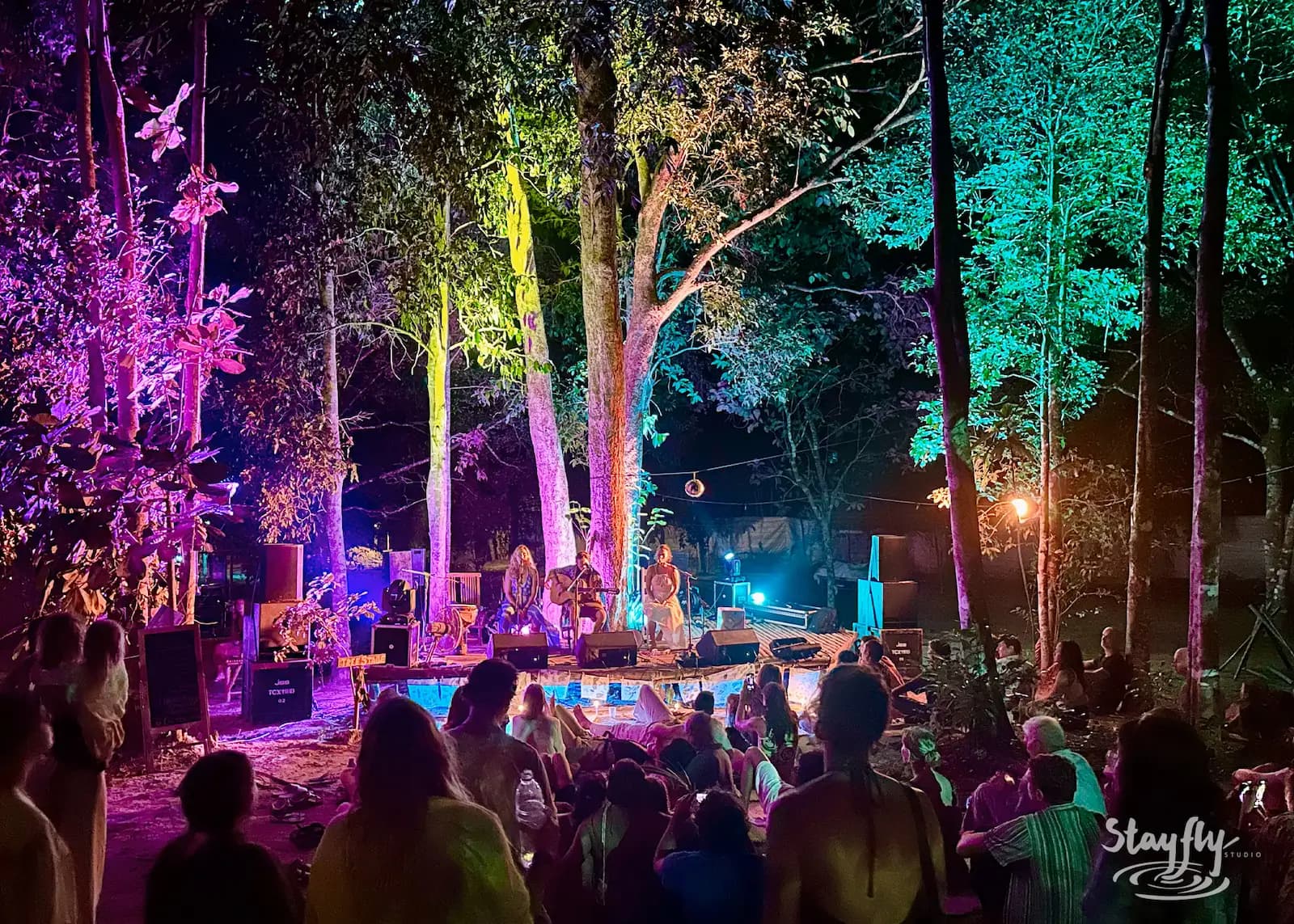 Colorful lit forest stage with seated crowd.