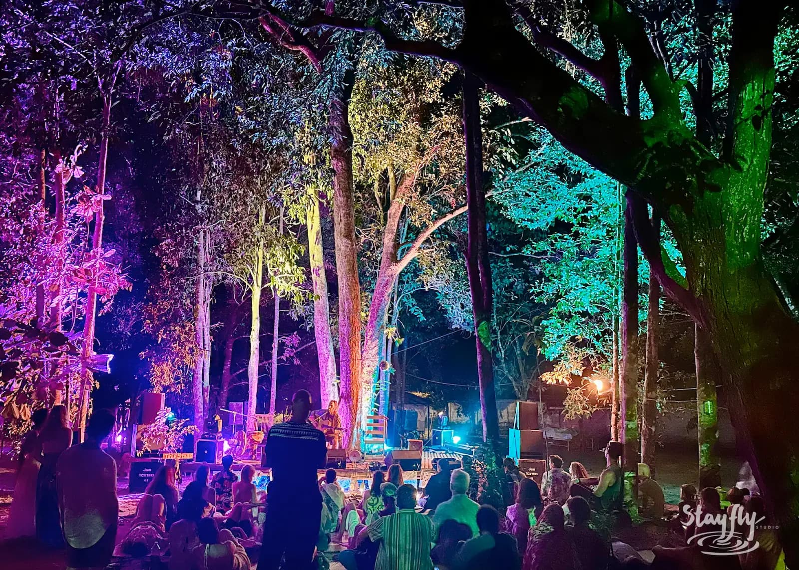 Forest stage with colorful lights, seated audience.