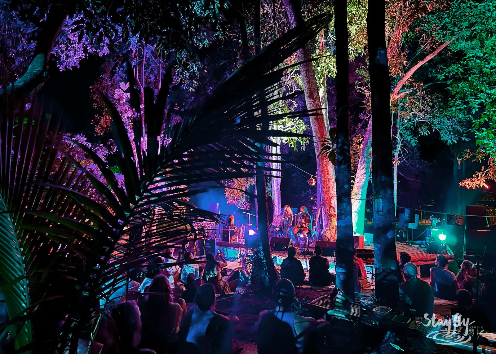 Band performs in forest clearing at night.