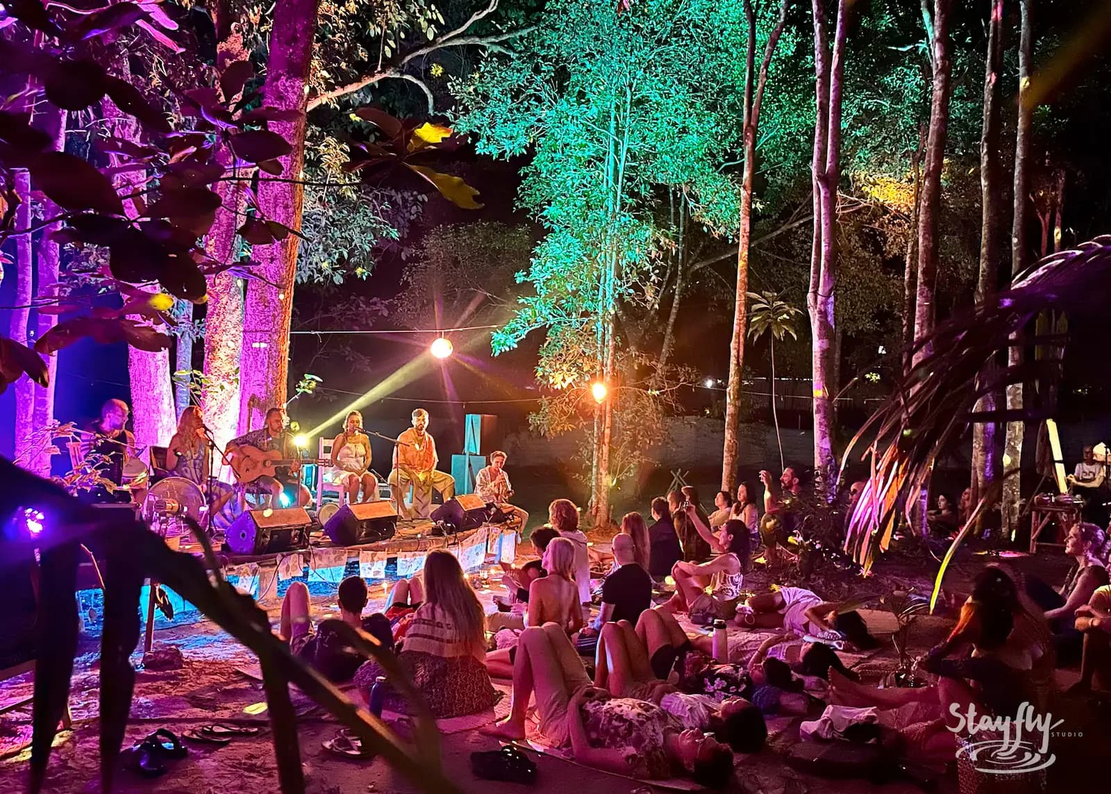 Band plays in trees, crowd seated night watching.