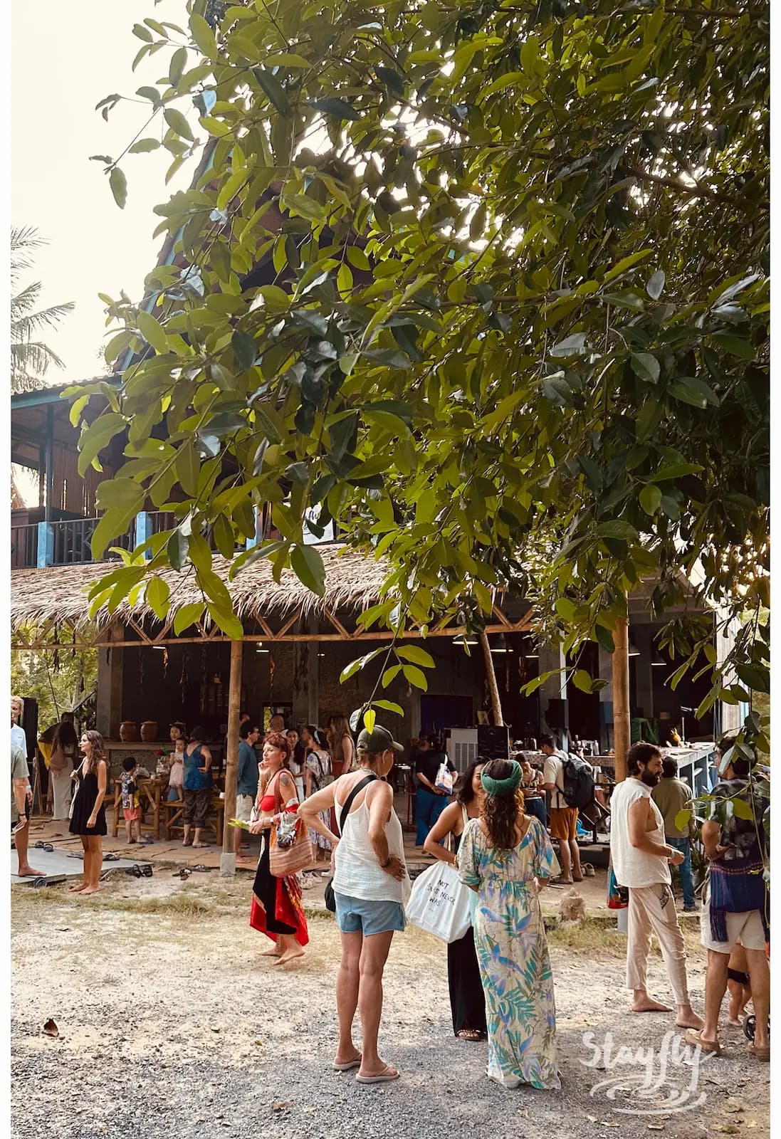 Crowd gathered under tree near market stalls.