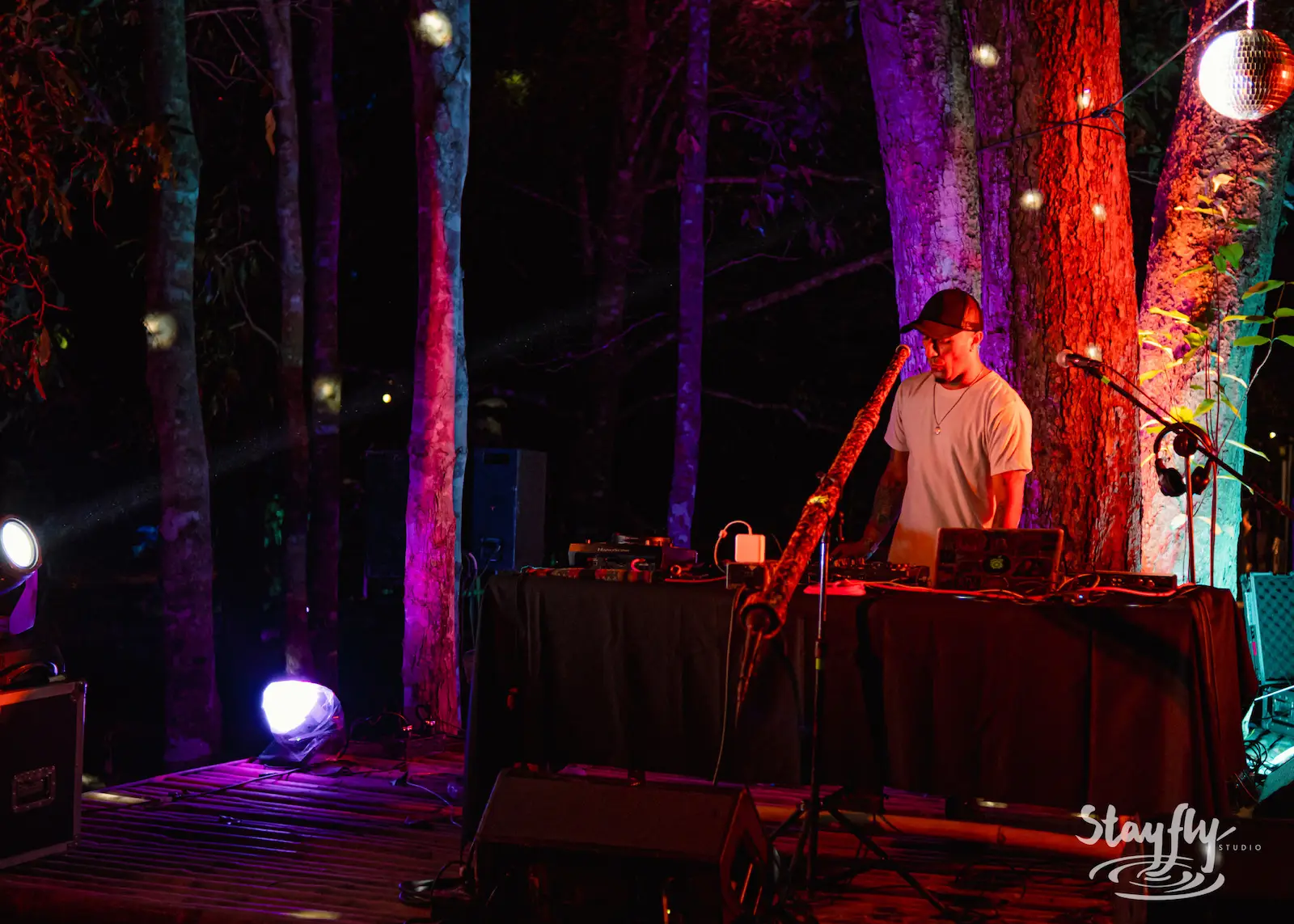 Saxophonist performing among lit trees at night.