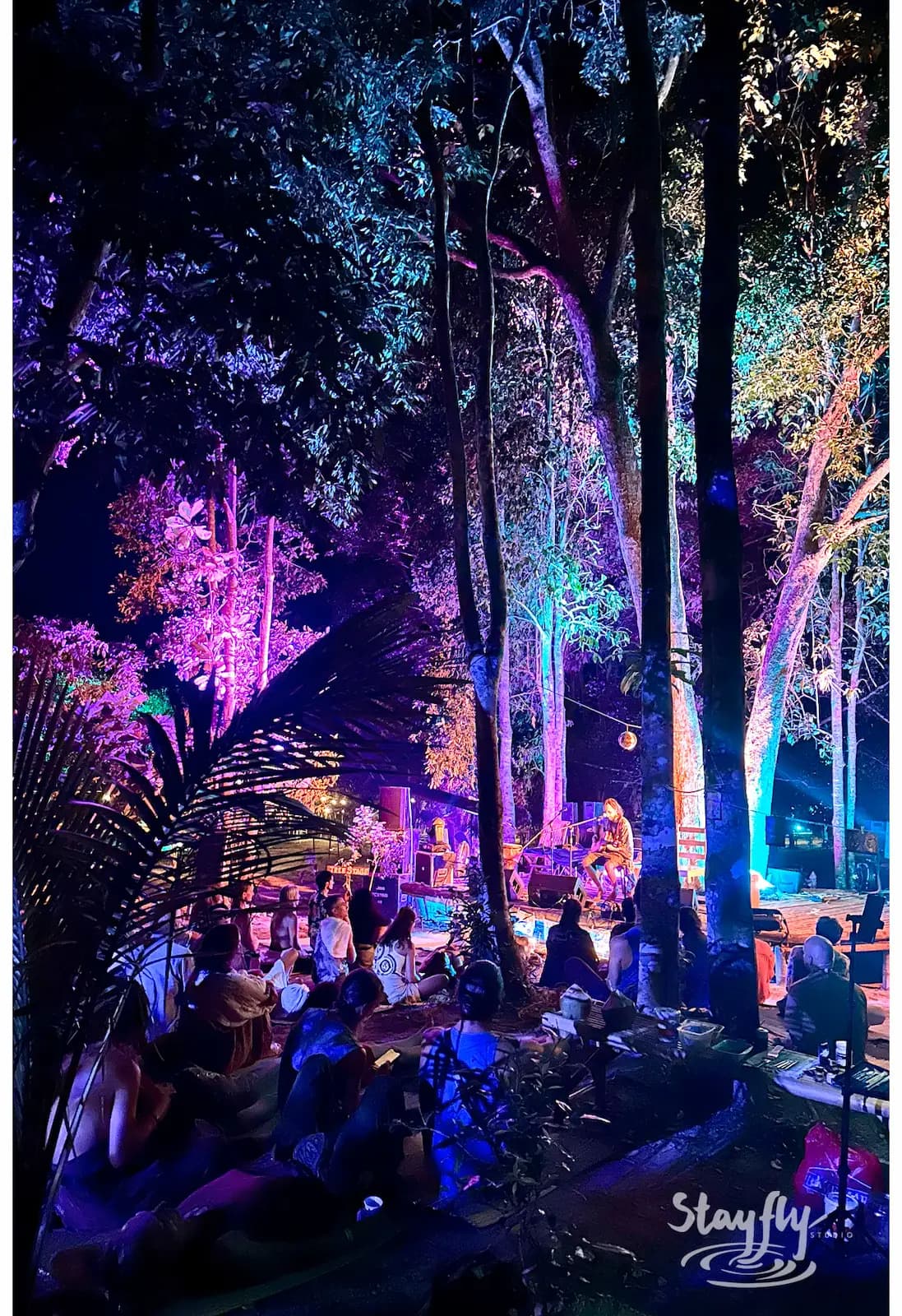Crowd seated for purple-lit forest performance.