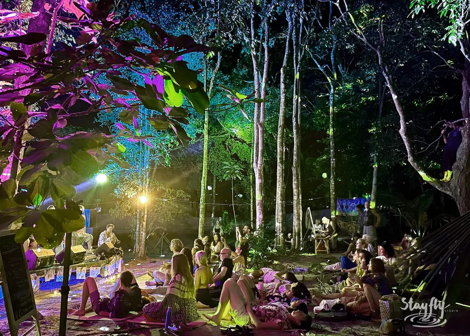 Crowd seated on mats in lit forest.