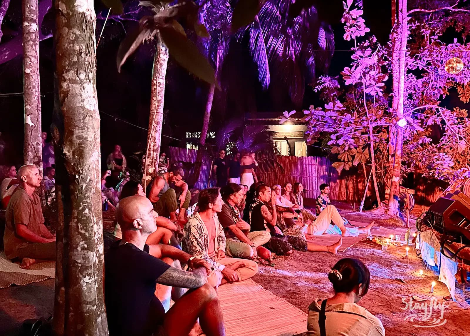 Crowd seated under trees, purple night lighting.