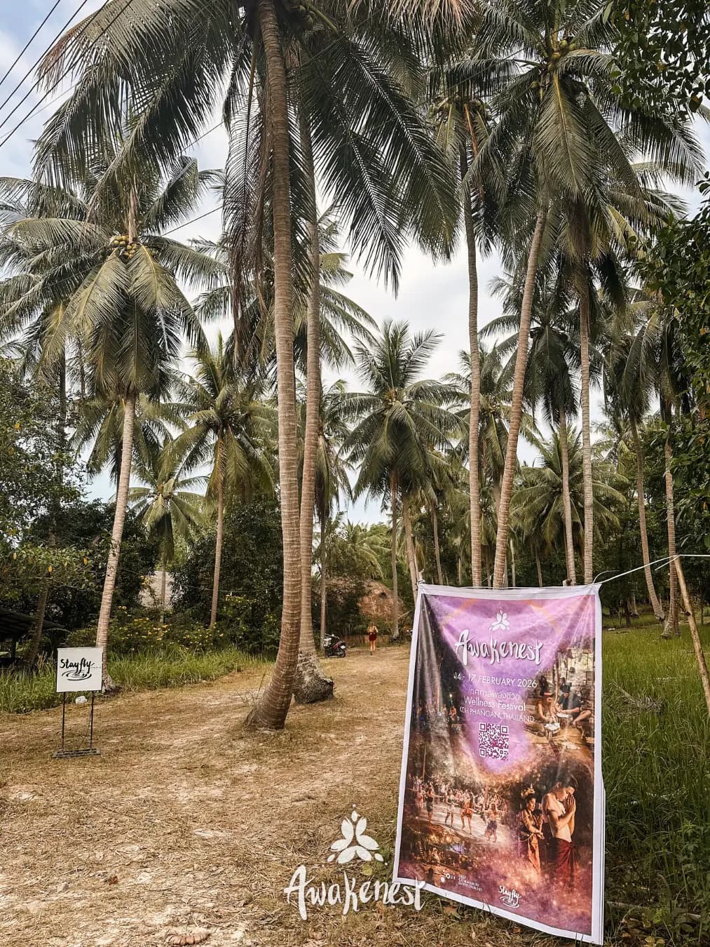 Festival poster banner among palm trees.