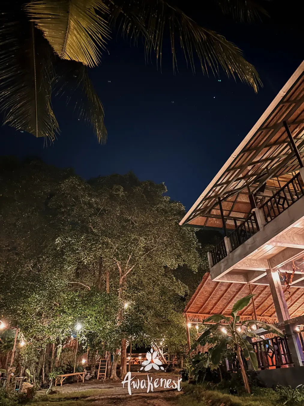 Venue building glows warmly under night sky.